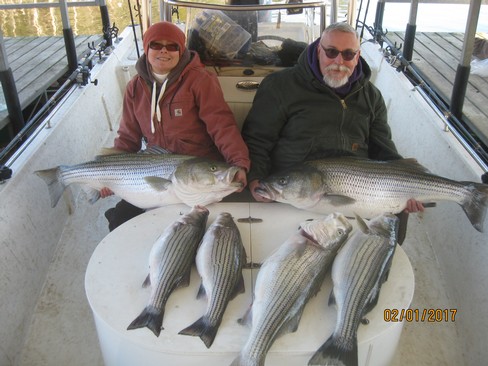 Nice Striped Bass